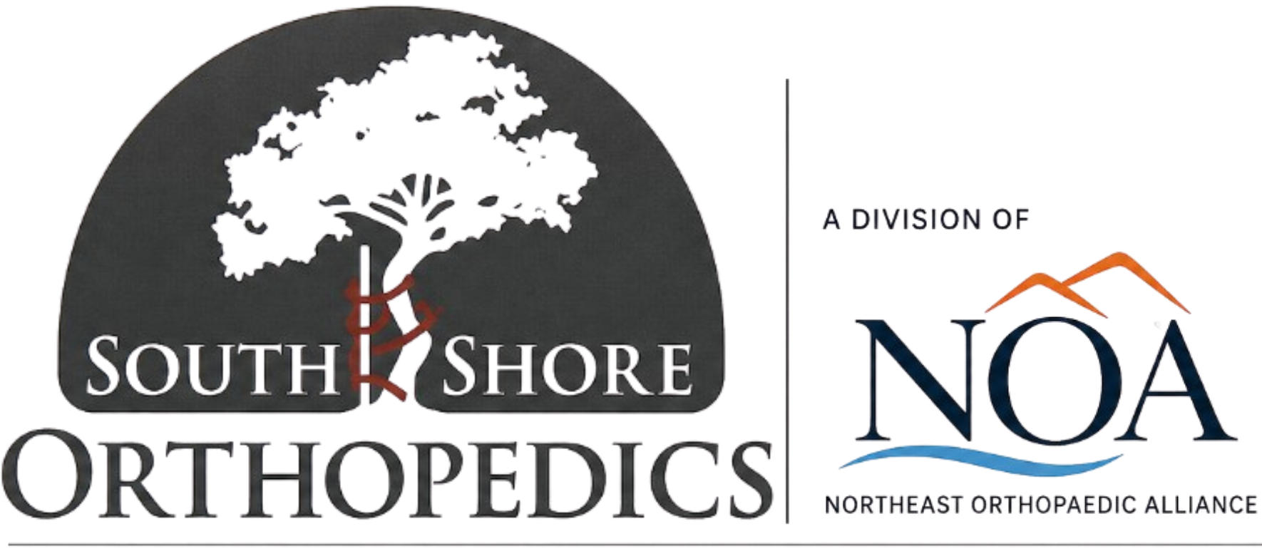 South Shore Orthopedics